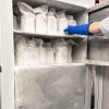 PharmaKorell stellt Lagerung für innovatives Immunonkologie-Medikament bei -80 °C bereit